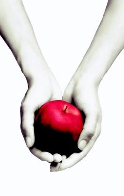 Cover van boek Twilight : een levensgevaarlijke liefde