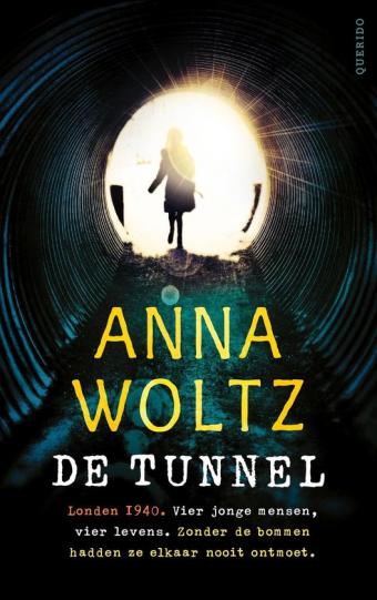 Cover van boek De tunnel