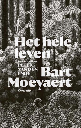 Cover van boek Het hele leven