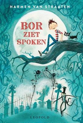 Cover van boek Bor ziet spoken