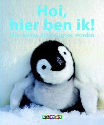 Cover van boek Hoi, hier ben ik! Hoe kleine dieren groot worden