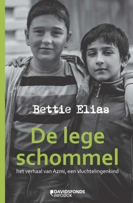 Cover van boek De lege schommel