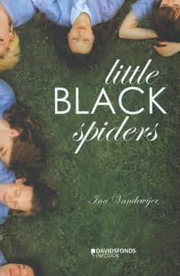 Cover van boek Little Black Spiders
