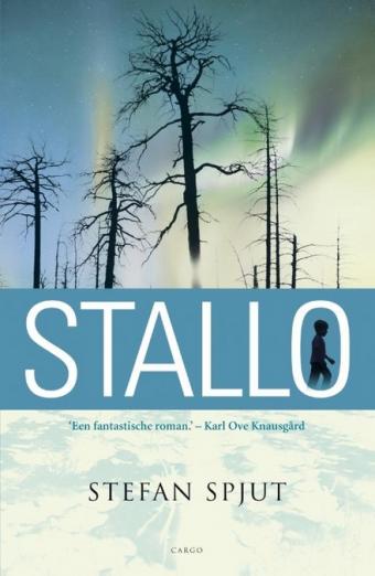Cover van boek Stallo