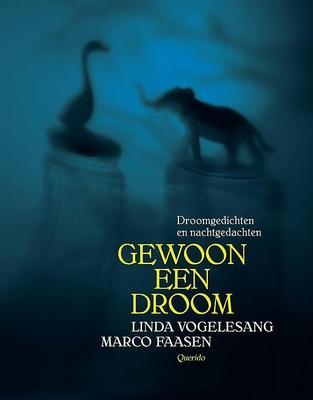 Cover van boek Gewoon een droom : droomgedichten en nachtgedachten