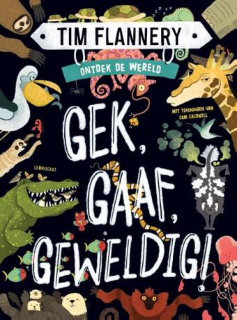 Cover van boek Ontdek de wereld : gek, gaaf, geweldig!