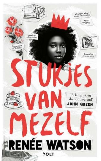 Cover van boek Stukjes van mezelf