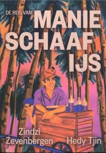 Cover van boek De reis van Manie Schaafijs