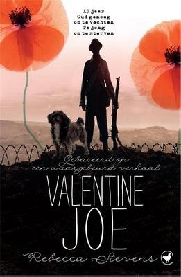 Cover van boek Valentine Joe