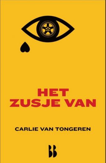 Cover van boek Het zusje van